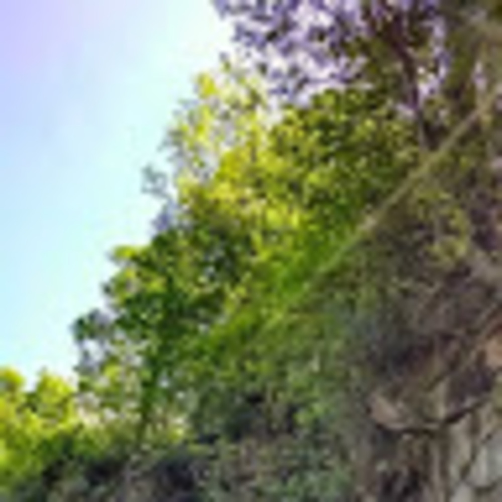 Meet your Posher, Azia